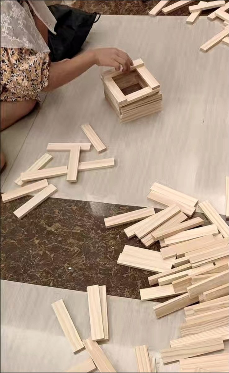 阿基米德积木作品鉴赏：